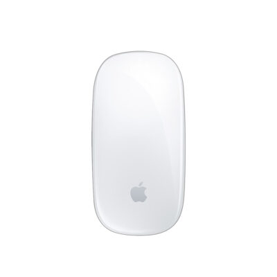 Apple Magic Mouse USB-C (2024)